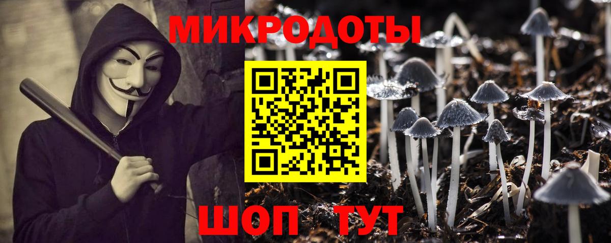 Псилоцибиновые грибы MAGIC MUSHROOMS  Вход с VPN  Зерноград  Псилоцибиновые грибы Cubensis 