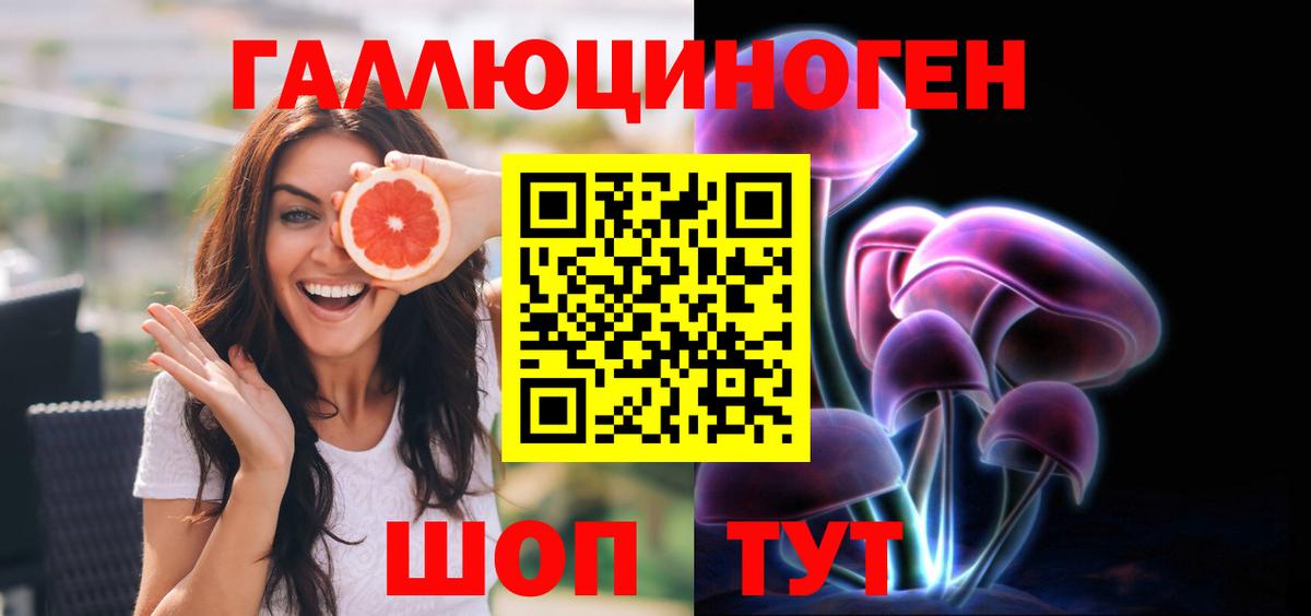 Псилоцибиновые грибы Psilocybine cubensis Зерноград